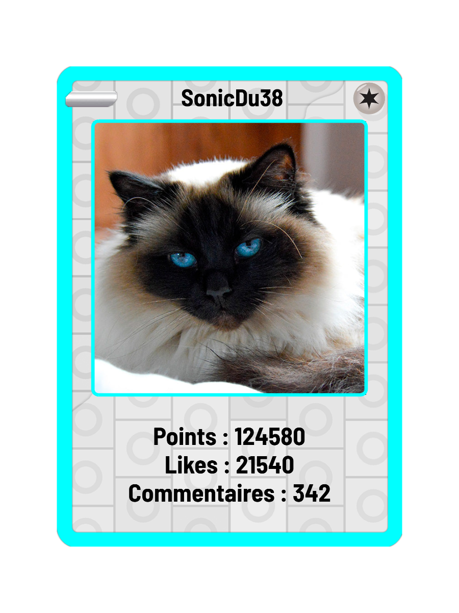 Exemple de carte Couleurs de bordure de SonicDu38, avec les compteurs de points, likes et commentaires