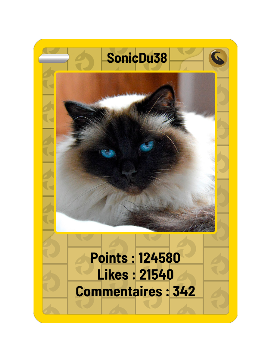 Exemple de carte Dragon de SonicDu38, avec les compteurs de points, likes et commentaires