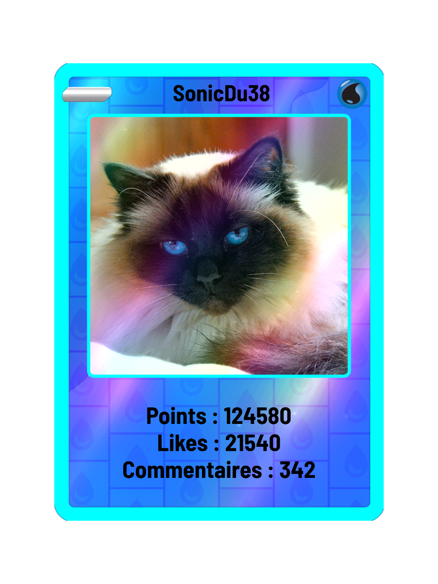Exemple de carte Holographique de SonicDu38, avec les compteurs de points, likes et commentaires