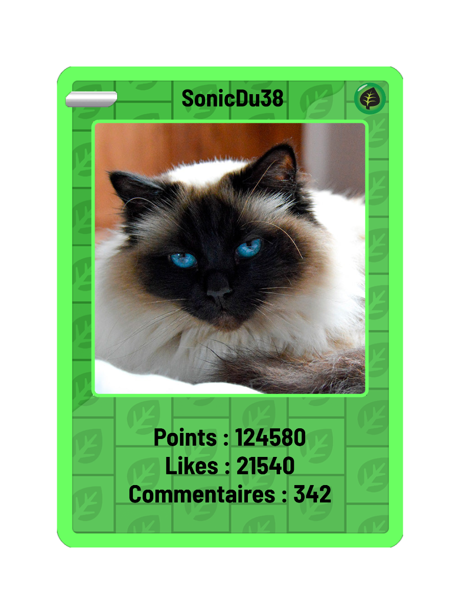 Exemple de carte Plante de SonicDu38, avec les compteurs de points, likes et commentaires